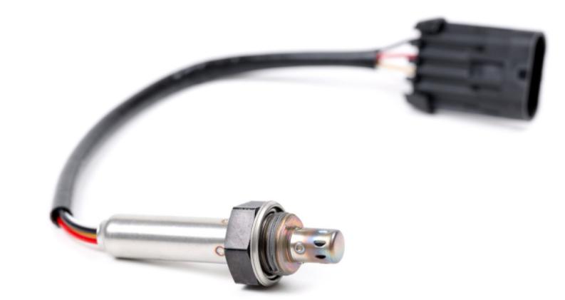 ��������ڽ�